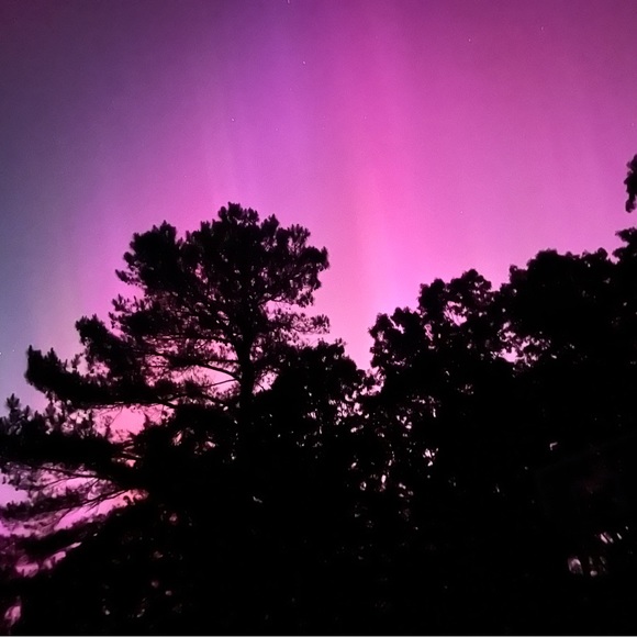 Meet your Posher, Alley - Picture 1 of 1